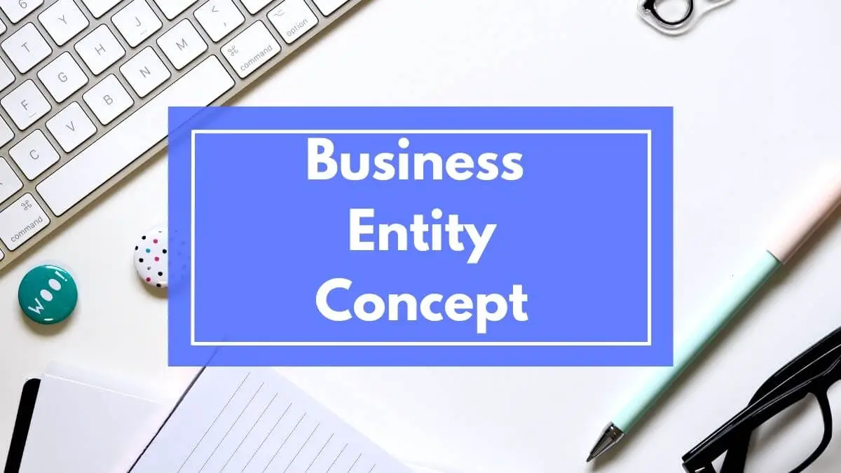 business entity concept